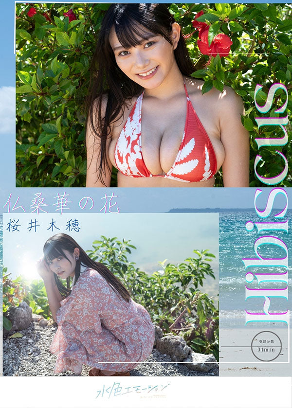 桜井木穂/Hibiscus 表紙